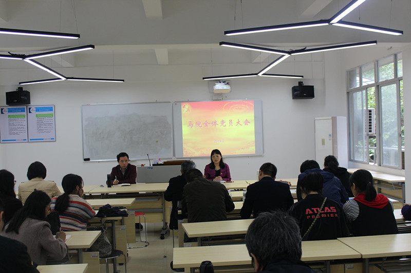 全体党员大会现场(上传).jpg