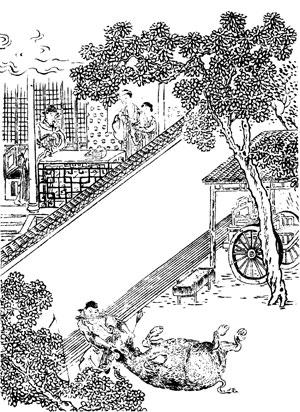 牛弘.jpg