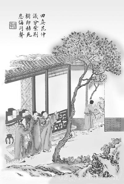 田真.jpg